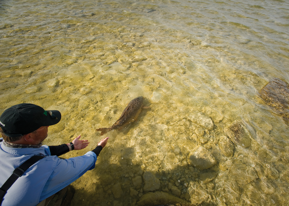 Catch and Release Fishing 