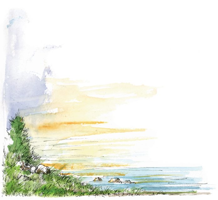 the journey home illustration