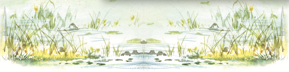 great lake story illustration