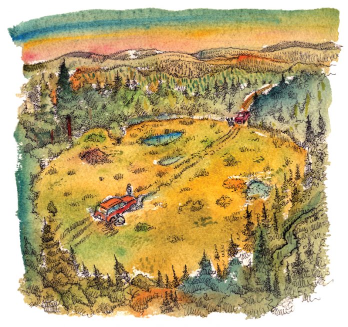 Beaver Meadow
