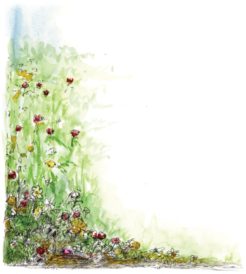 Flowers left