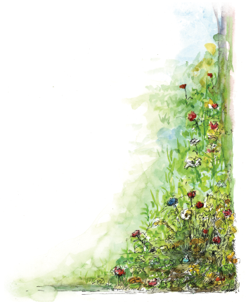 Flowers right
