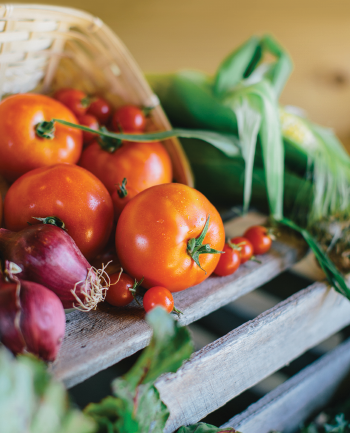 Vegetable basket
