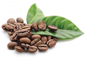 Coffee Beans and Plant Leaves