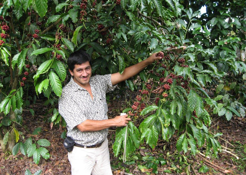 coffee farmer