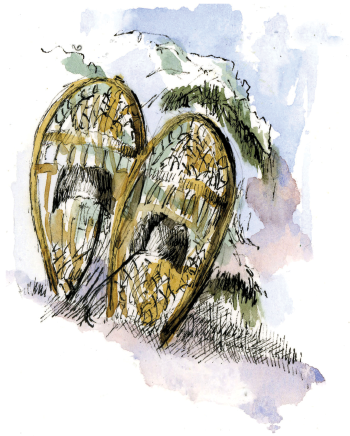 Snowshoes