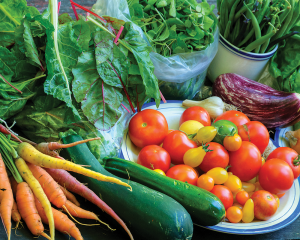 farm fresh produce
