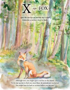 fox illustration