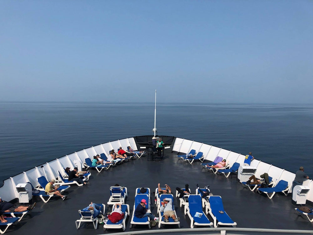 Pure Ludington, Bow full